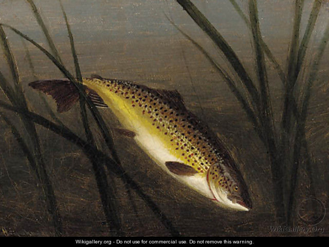 A trout on a line - A. Roland Knight
