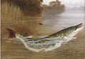 A hooked pike - A. Roland Knight