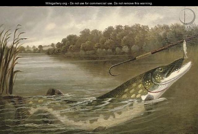 The hooked pike - A. Roland Knight