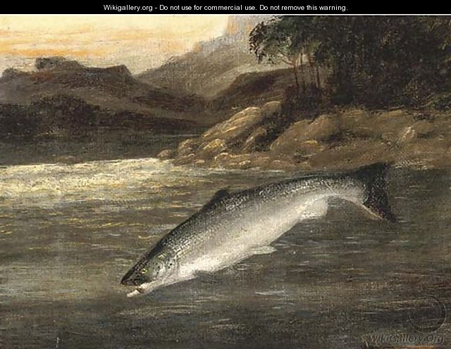Salmon rising - A. Roland Knight