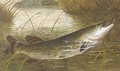 Hooking a pike - A. Roland Knight