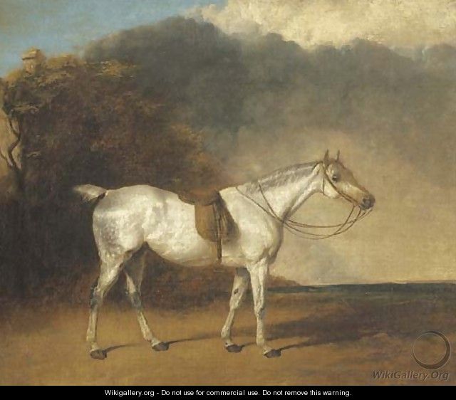 A saddled grey hunter in a landscape - Abraham Cooper