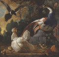 A peacock - Abraham Bisschop Dordrecht