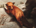 The Red Fox - Abbott Handerson Thayer