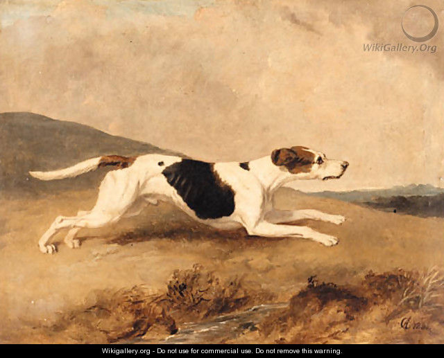 An Old Surrey and Burstow Foxhound - Abraham Cooper