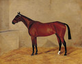 A bay horse in a stable - G. Stirling-Brown