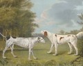 An English setter and a pointer in a landscape - (after) I. Rothwell