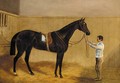A saddled liver chestnut racehorse held by a groom in a stable - (after) Harry Hall