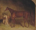A chestnut racehorse in a stable, Newmarket - (after) Harry Hall