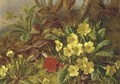 Primroses and brambles - (after) Henry A. Major