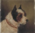 The head of a terrier - (after) George Armfield