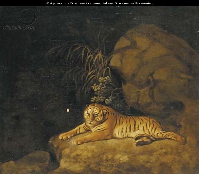 Portrait of the Royal Tiger - (after) Stubbs, George