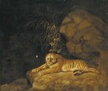 Portrait of the Royal Tiger - (after) Stubbs, George