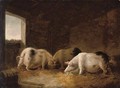 Pigs feeding - (after) George Morland