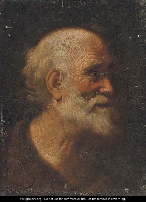 Head of a male saint - (after) Giacomo Francesco Cipper