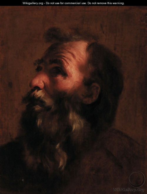 Head of an old man - (after) Gaetano Gandolfi