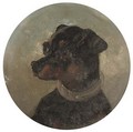 Portrait of a terrier - (after) Edwin Loder