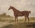 A chestnut hunter and a terrier in an extensive landscape - (after) Edwin Cooper