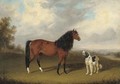 A chestnut horse with a dog in an extensive landscape - (after) Edmund Bristow