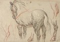 A dappled grey horse with subsidiary studies of its legs - (after) Charles De Lafosse