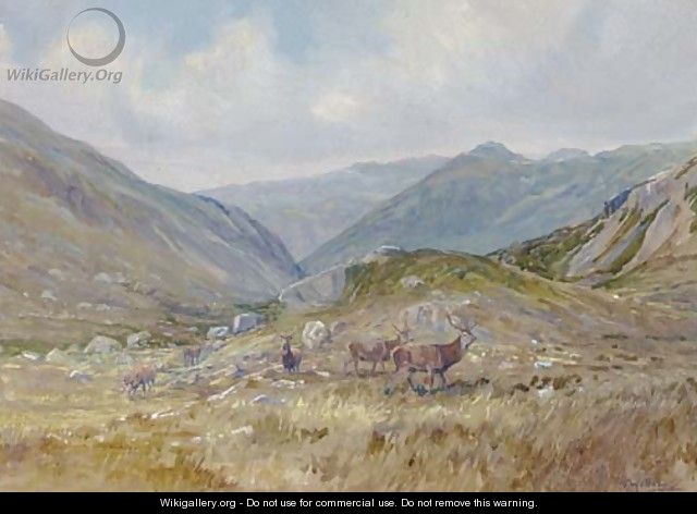 Stags with hinds in a Highland landscape - (after) Colin Graeme Roe