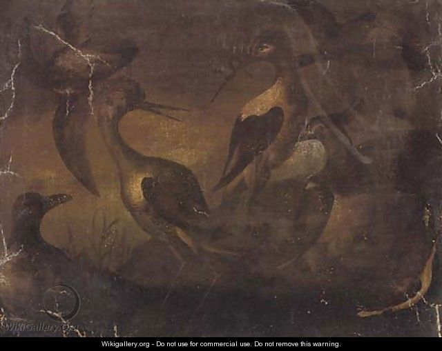 Storks in a river landscape - (after) Baldassare De Caro