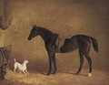 A black hunter and a dog in a stable - (after) Albert Clark