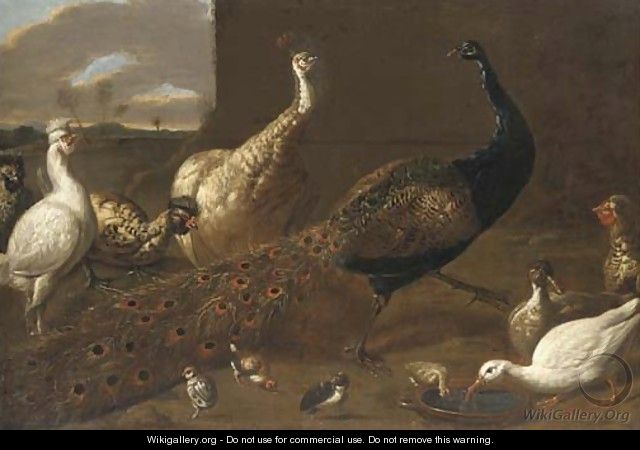 A peacock, a peahen, ducks and fowl poultry in a yard - (after) Adriaen Van Utrecht