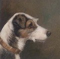 Portrait of a terrier - (after) Alfred Wheeler