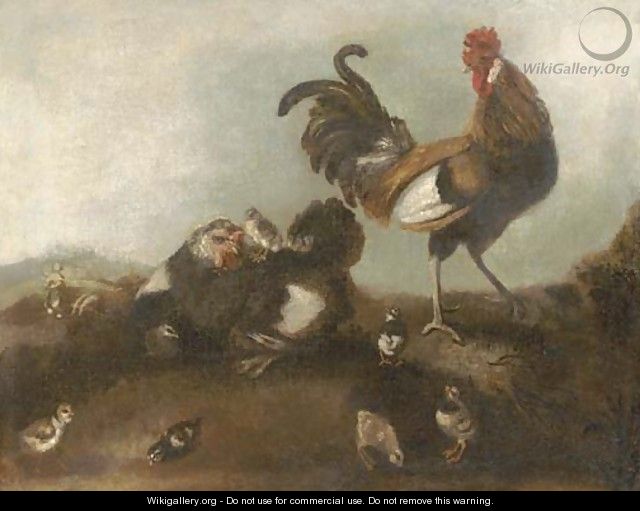 A chicken, cockerel and chicks - (after) Angelo Maria Crivelli, Il Crivellone