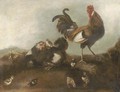 A chicken, cockerel and chicks - (after) Angelo Maria Crivelli, Il Crivellone