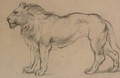 A lion in profile to the left - (after) Antoine Louis Barye