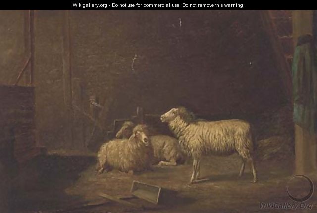 Sheep in a stable - (after) Theo Van Sluys