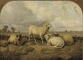 Sheep resting in a meadow - (after) Thomas Sidney Cooper