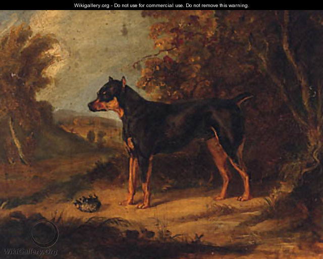 A Black And Tan Terrier - (after) Ramsay Richard Reinagle