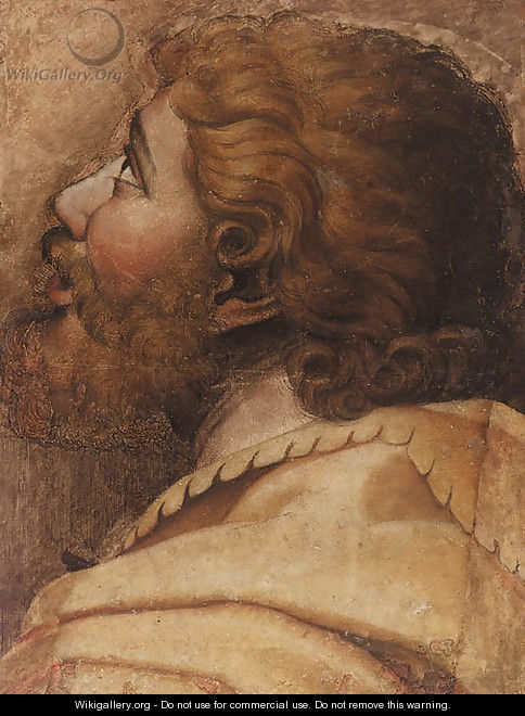 Head of a man looking up to the left a cartoon for a tapestry - (after) Raffaelo Sanzio