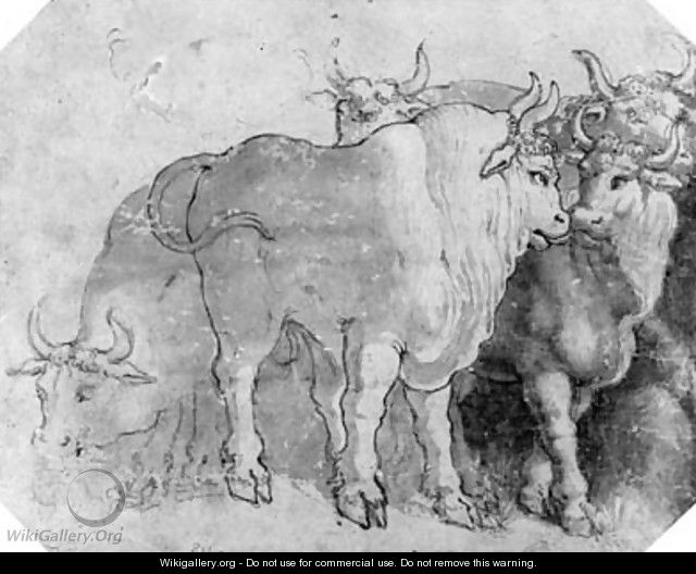 Five bulls - (after) Polidoro Da Caravaggio (Caldara)