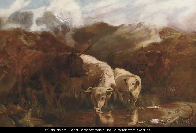 Highland cattle - (after) Robert F. Watson