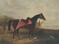 A horse with ornate sadle cloth - (after) Samuel Spode