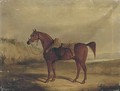 A chestnut horse saddled - (after) Samuel Spode