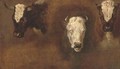 Three studies of bulls' heads - (after) Simon Van Der Does