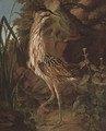 A bittern on the bank of a river - (after) Ferdinand Phillip De Hamilton