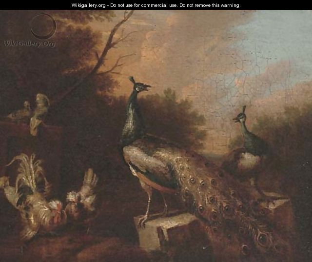 Peacocks and chickens in a landscape - (after) Pieter Casteels III