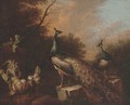Peacocks and chickens in a landscape - (after) Pieter Casteels III