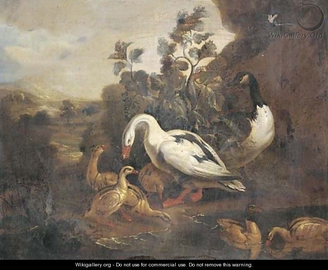 Ducks and a goose in a landscape - (after) Pieter Casteels III