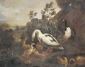 Ducks and a goose in a landscape - (after) Pieter Casteels III