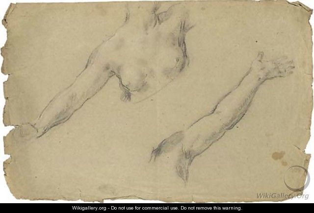 Study of the torso and outstretched right arm of a female nude - (after) Pietro Da Cortona (Barrettini)