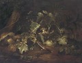 A forest floor still life with a stoat beside a pool - (after) Paolo Porpora