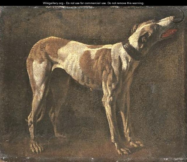 A greyhound - (after) Pieter Van Laer (BAMBOCCIO)