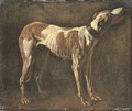 A greyhound - (after) Pieter Van Laer (BAMBOCCIO)
